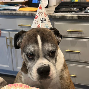 Meet your Posher, Madison